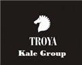 Troya Kale Group  - Çanakkale